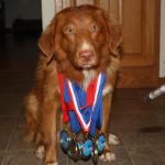 "Ma, take the picture already! These medals are getting heavy! And stop throwing that pen!!" - Jake